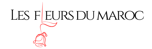 Les Fleurs Du Maroc